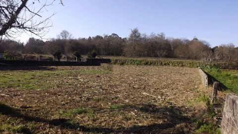 Terreno para Venda em Seixas