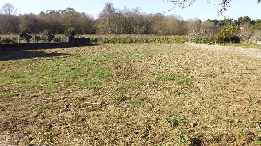 Terreno para Venda em Seixas Foto 5