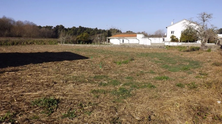 Terreno para Venda em Seixas Foto 9