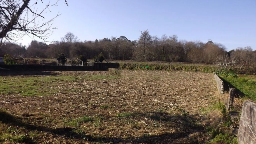 Terreno para Venda em Seixas Foto 6