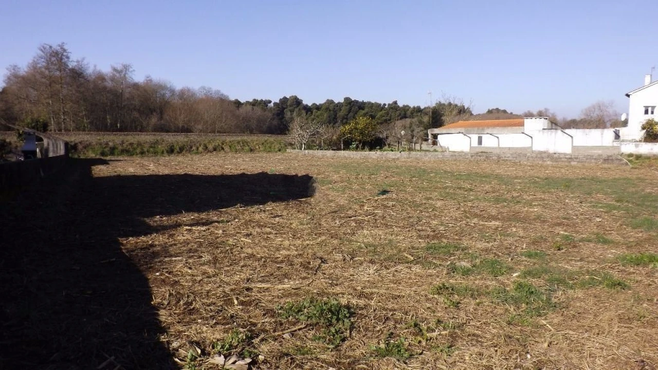 Terreno para Venda em Seixas Foto 8