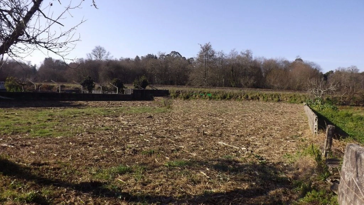 Terreno para Venda em Seixas Foto 6