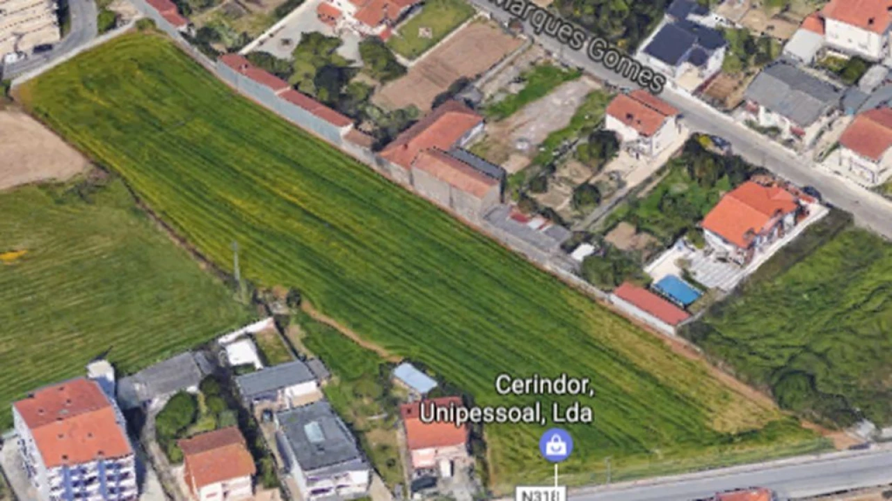 Terreno para Venda em Coronado (São Romão e São Mamede) Foto 8