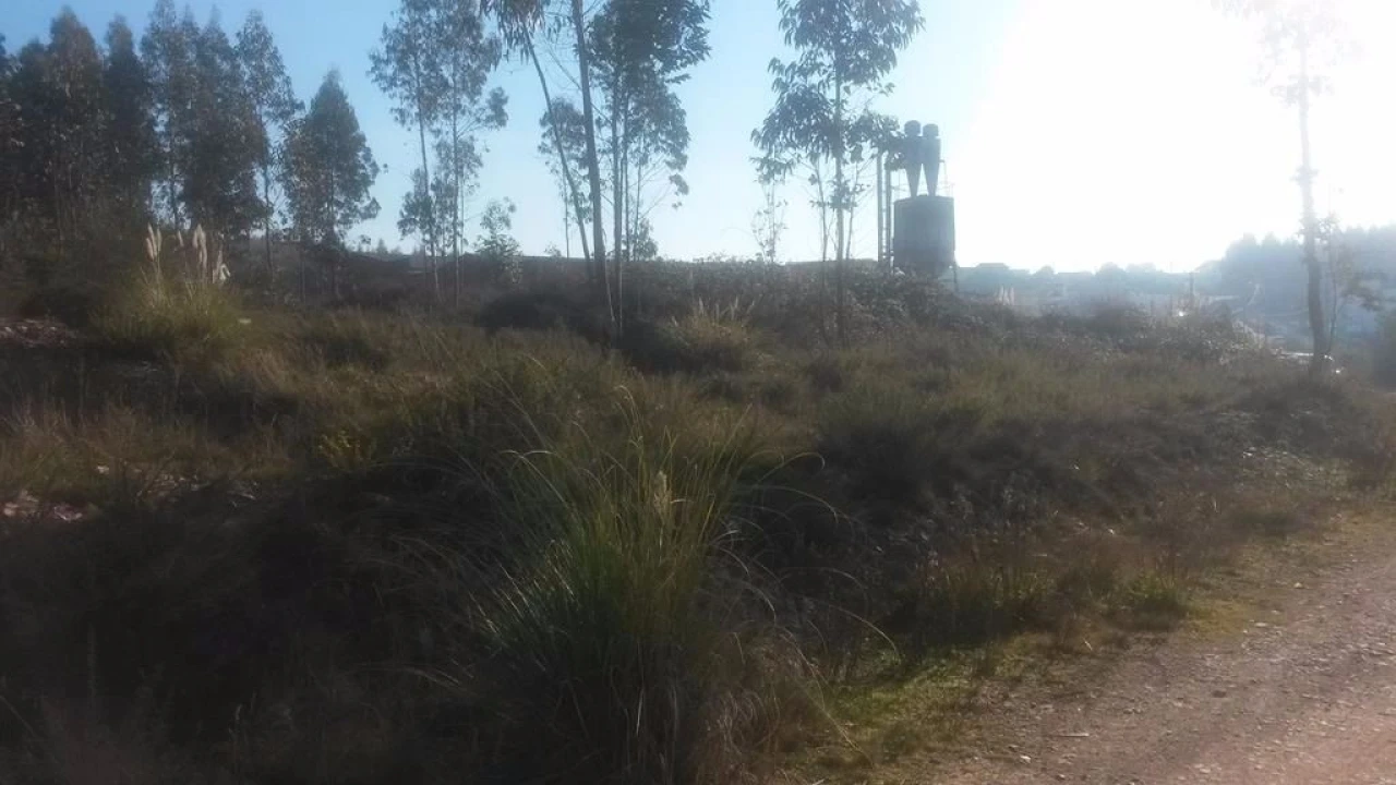 Terreno para Venda em Coronado (São Romão e São Mamede) Foto 4