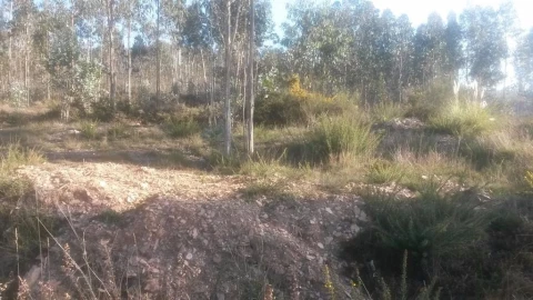 Terreno para Venda em Coronado (São Romão e São Mamede)