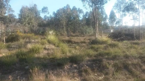 Terreno para Venda em Coronado (São Romão e São Mamede)