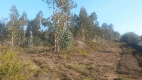 Terreno para Venda em Coronado (São Romão e São Mamede)