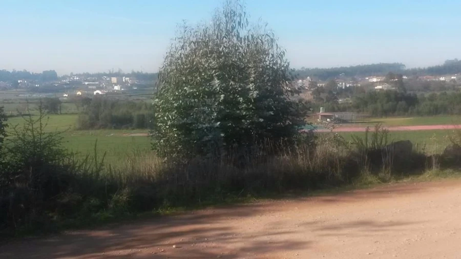 Terreno para Venda em Coronado (São Romão e São Mamede) Foto 2