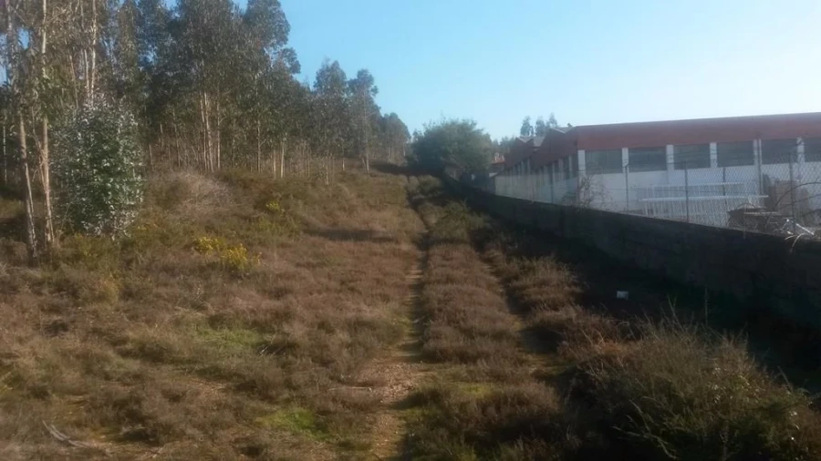 Terreno para Venda em Coronado (São Romão e São Mamede) Foto 5