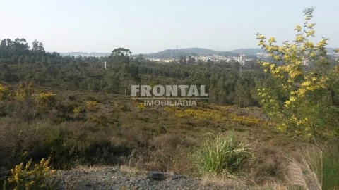 Terreno para Venda em Campo e Sobrado