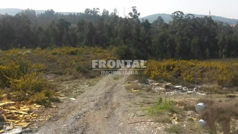Terreno para Venda em Campo e Sobrado