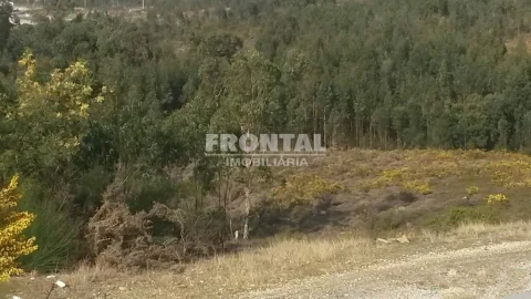 Terreno para Venda em Campo e Sobrado