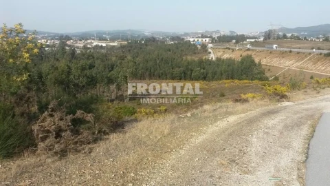 Terreno para Venda em Campo e Sobrado