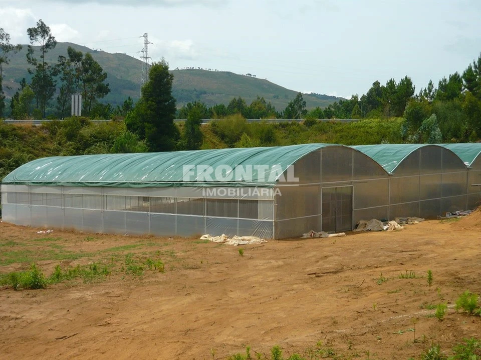 Quinta T0 para Venda em Rebordões (Souto) Foto 1