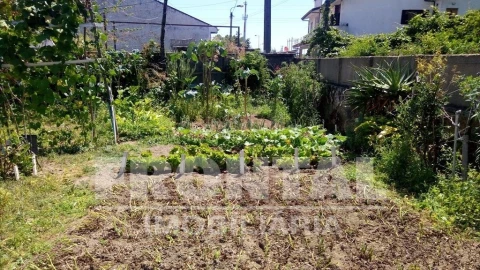 Terreno para Venda em Ermesinde
