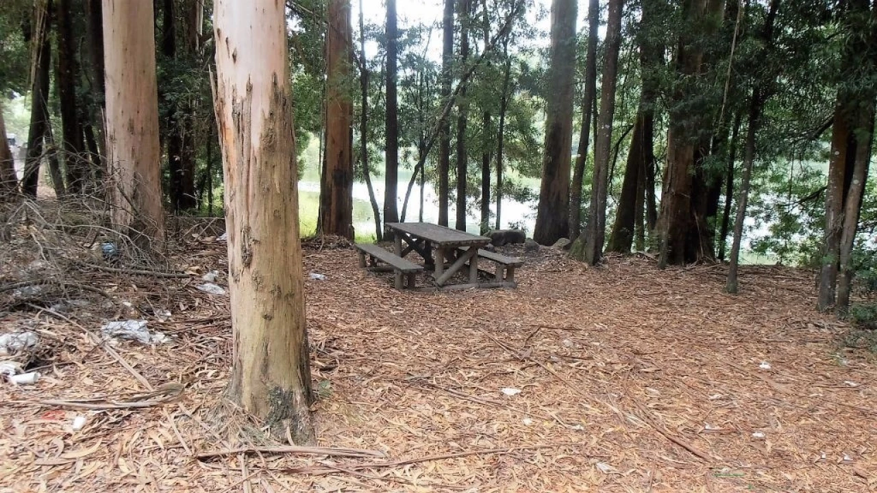 Terreno Agricola ou Rústico para Venda em Vila Boa de Quires e Maureles Foto 10