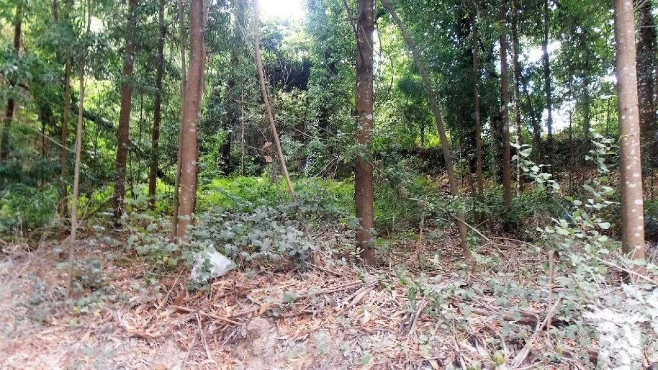 Terreno Agricola ou Rústico para Venda em Vila Boa de Quires e Maureles Foto 16