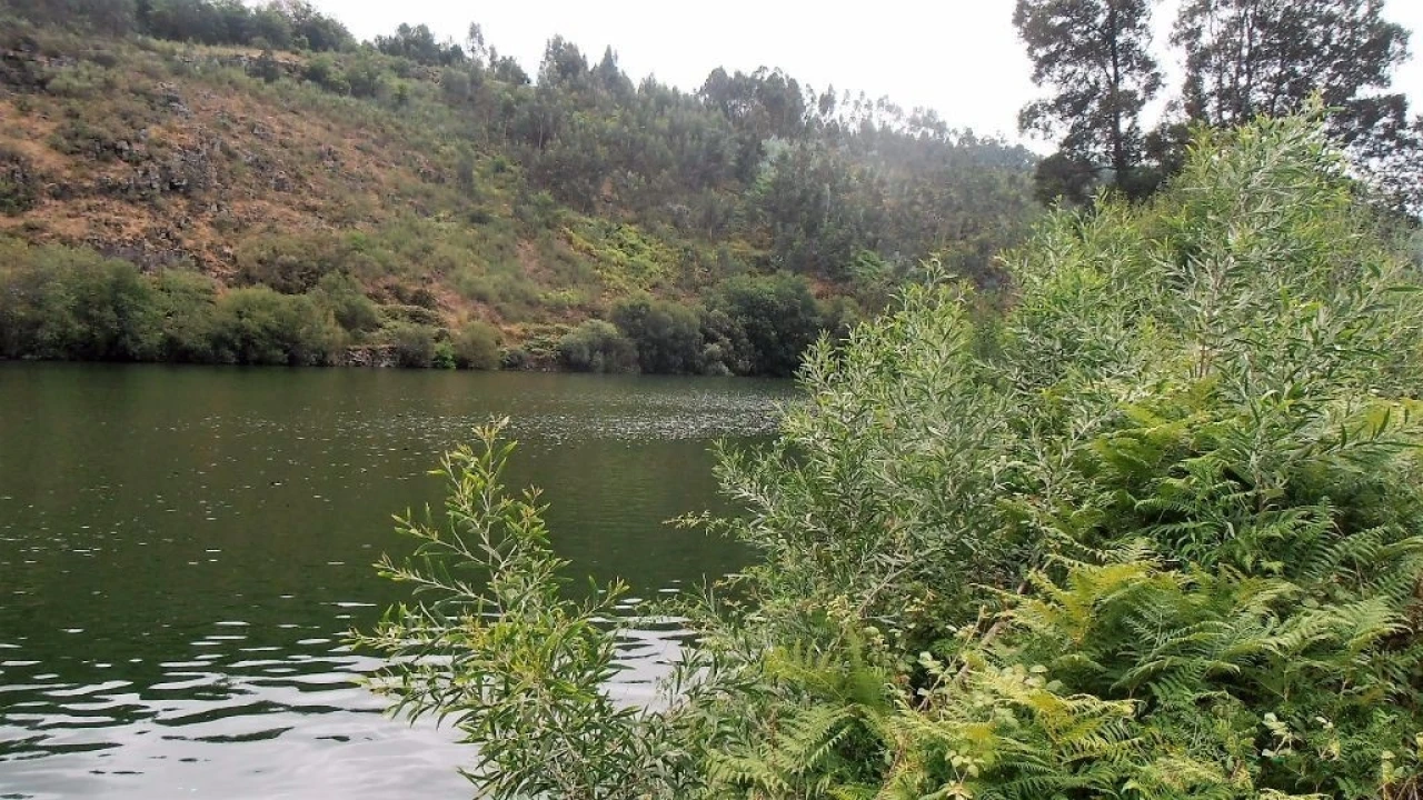 Terreno Agricola ou Rústico para Venda em Vila Boa de Quires e Maureles Foto 1
