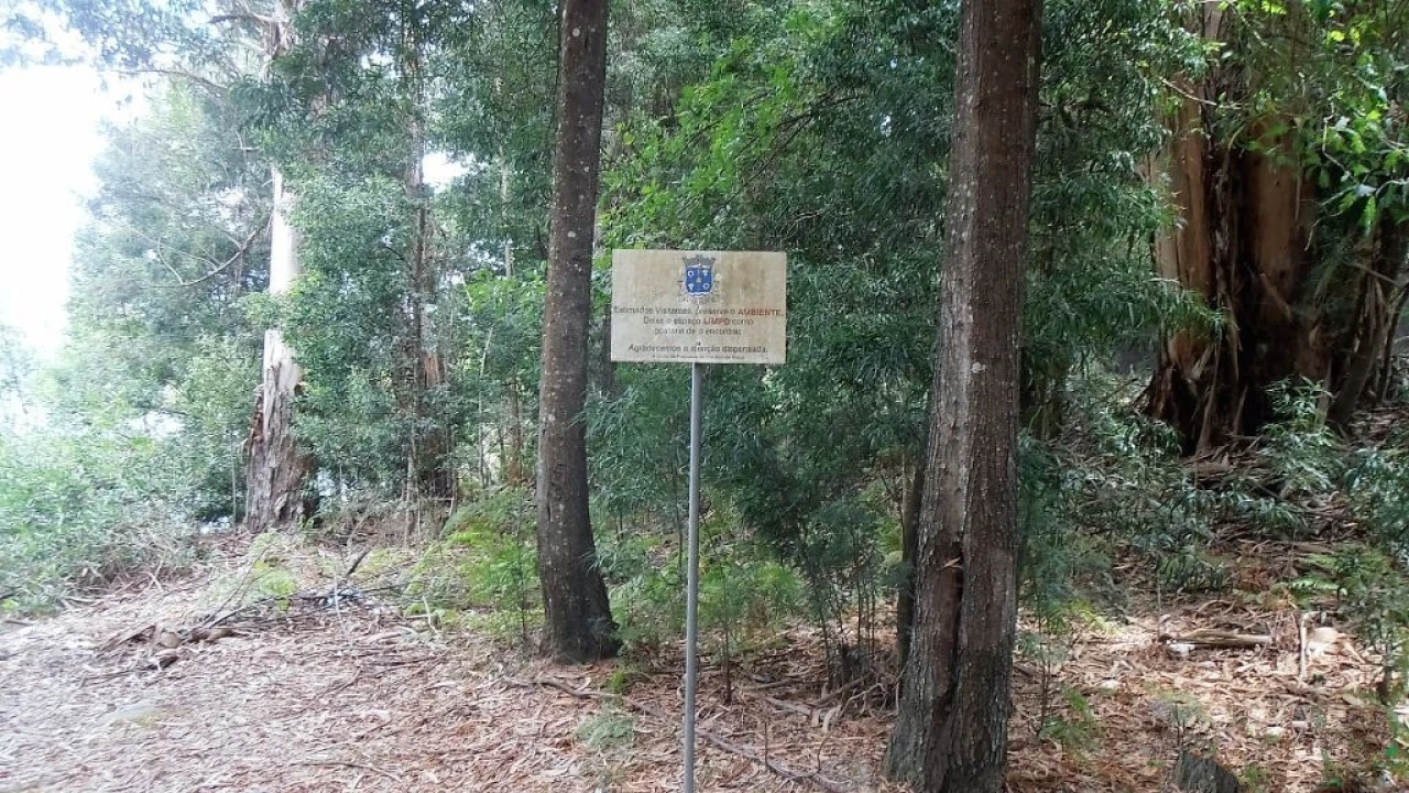 Terreno Agricola ou Rústico para Venda em Vila Boa de Quires e Maureles Foto 6