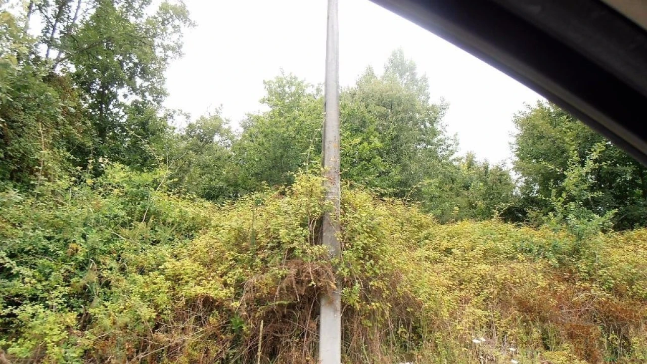 Terreno Agricola ou Rústico para Venda em Vila Boa de Quires e Maureles Foto 20