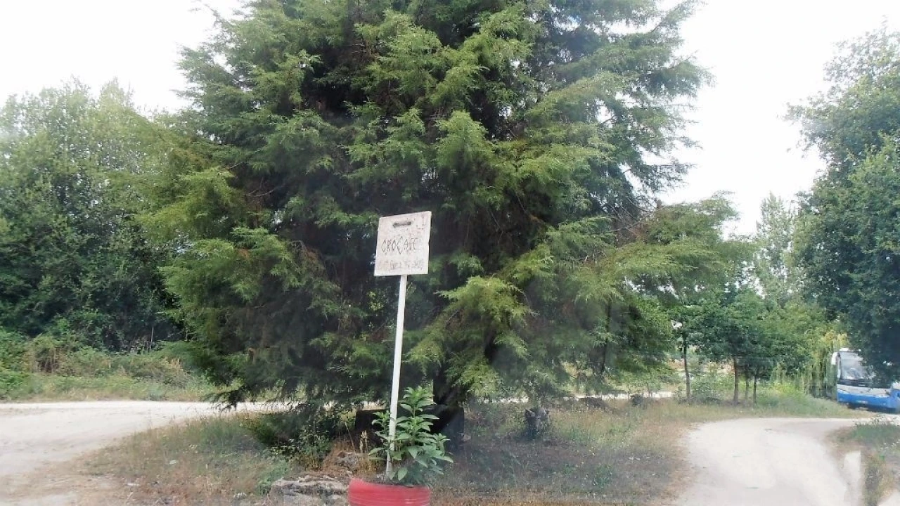 Terreno Agricola ou Rústico para Venda em Vila Boa de Quires e Maureles Foto 11