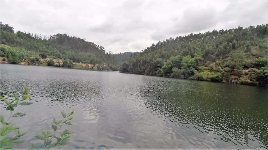 Terreno Agricola ou Rústico para Venda em Vila Boa de Quires e Maureles Foto 2