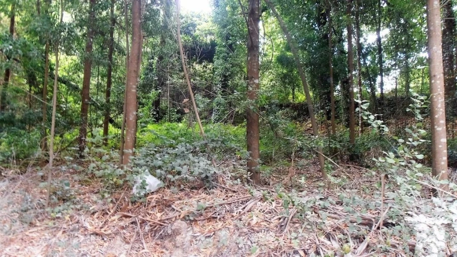 Terreno Agricola ou Rústico para Venda em Vila Boa de Quires e Maureles Foto 16