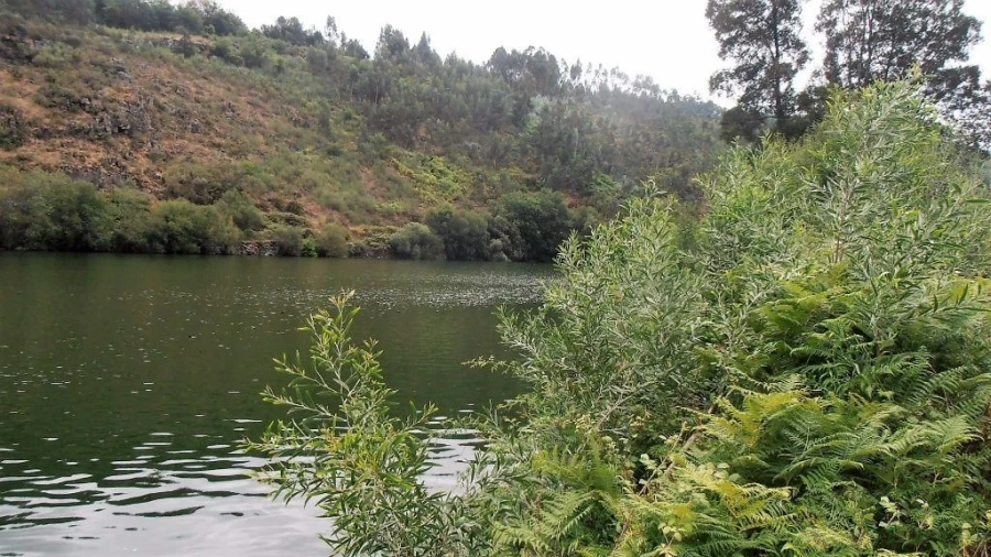Terreno Agricola ou Rústico para Venda em Vila Boa de Quires e Maureles