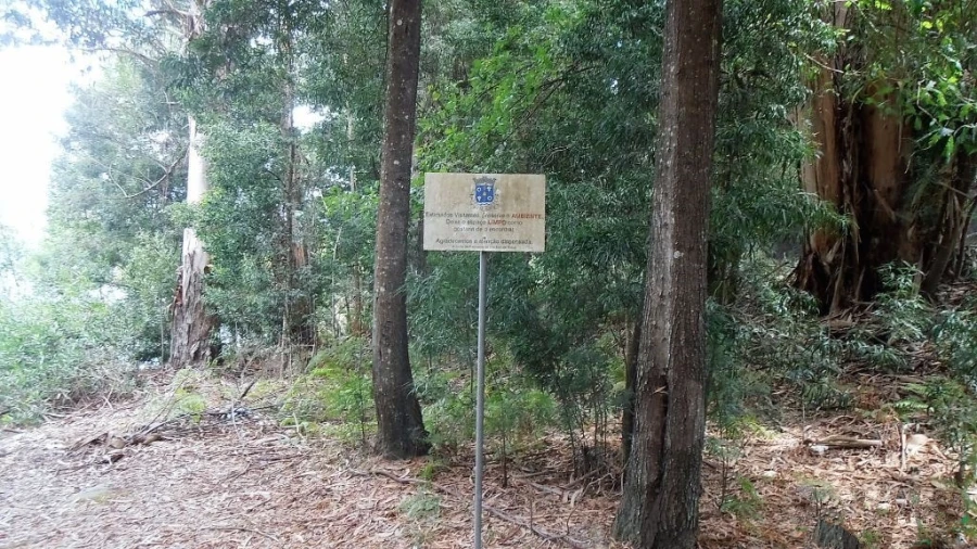 Terreno Agricola ou Rústico para Venda em Vila Boa de Quires e Maureles Foto 6