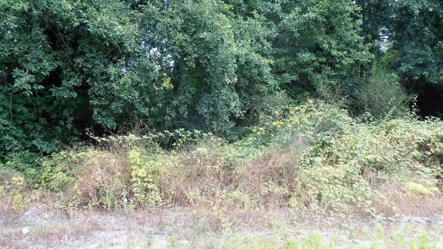 Terreno Agricola ou Rústico para Venda em Vila Boa de Quires e Maureles Foto 17