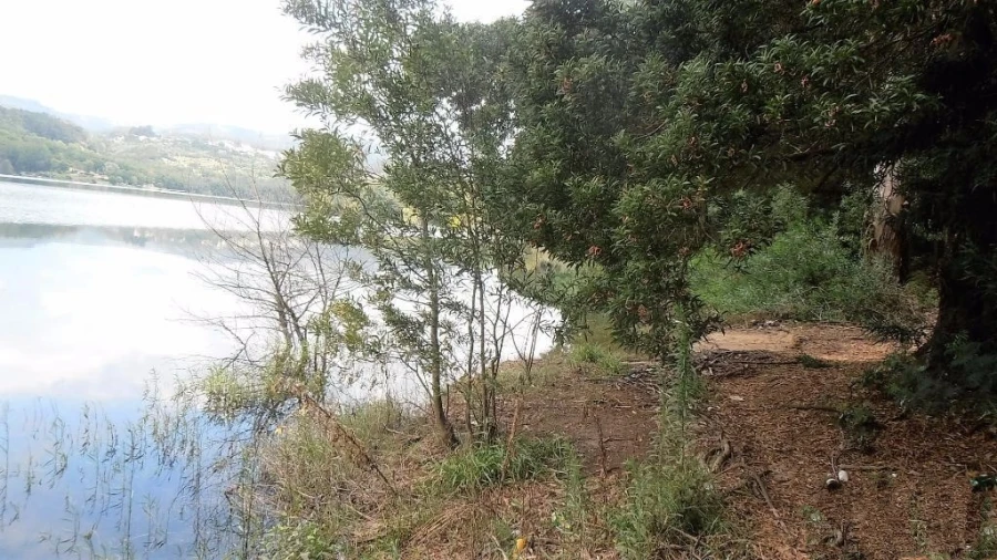 Terreno Agricola ou Rústico para Venda em Vila Boa de Quires e Maureles Foto 5