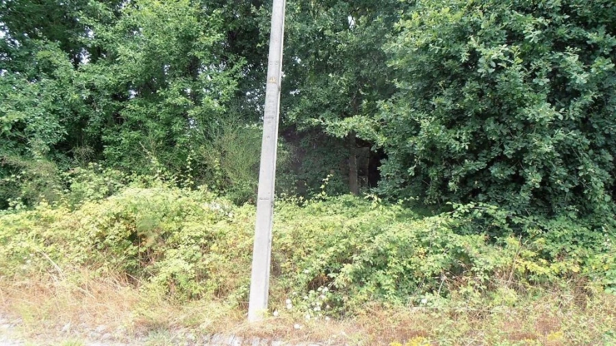 Terreno Agricola ou Rústico para Venda em Vila Boa de Quires e Maureles Foto 18