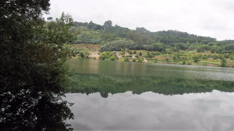 Terreno Agricola ou Rústico para Venda em Vila Boa de Quires e Maureles Foto 4