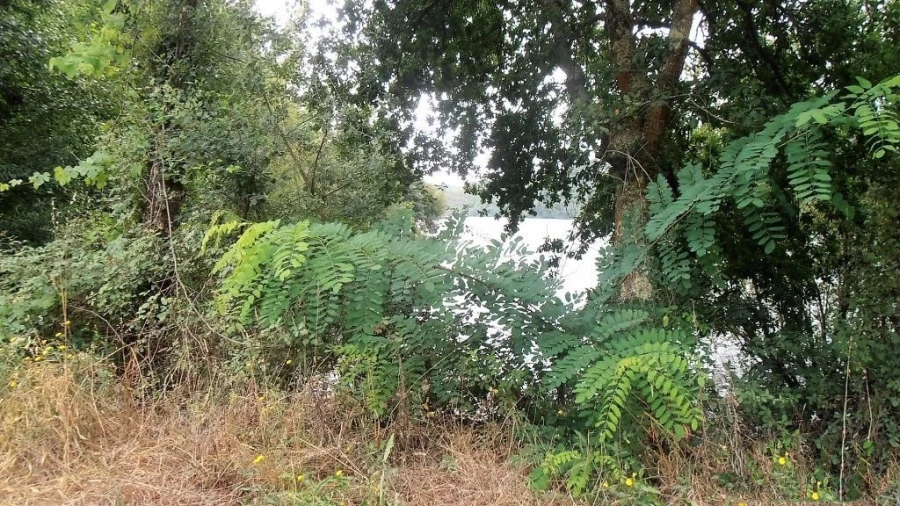 Terreno Agricola ou Rústico para Venda em Vila Boa de Quires e Maureles Foto 13