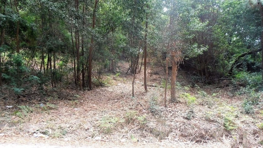 Terreno Agricola ou Rústico para Venda em Vila Boa de Quires e Maureles Foto 9