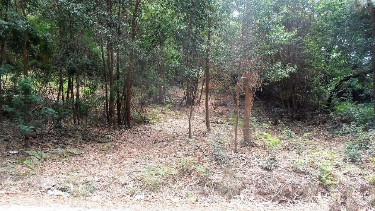 Terreno Agricola ou Rústico para Venda em Vila Boa de Quires e Maureles Foto 9