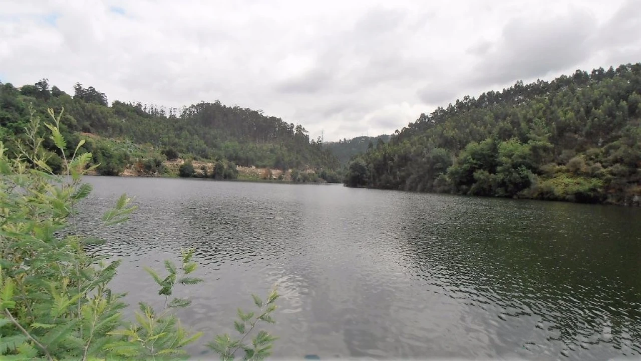 Terreno Agricola ou Rústico para Venda em Vila Boa de Quires e Maureles Foto 3