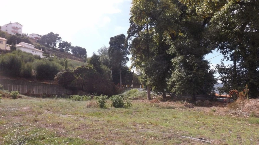 Terreno para Venda em Seixas Foto 3