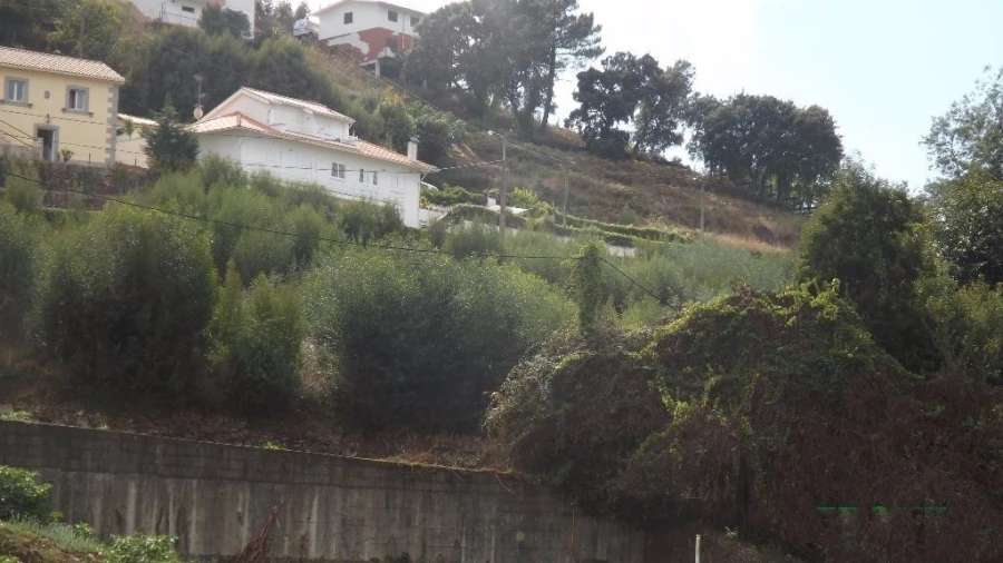 Terreno para Venda em Seixas