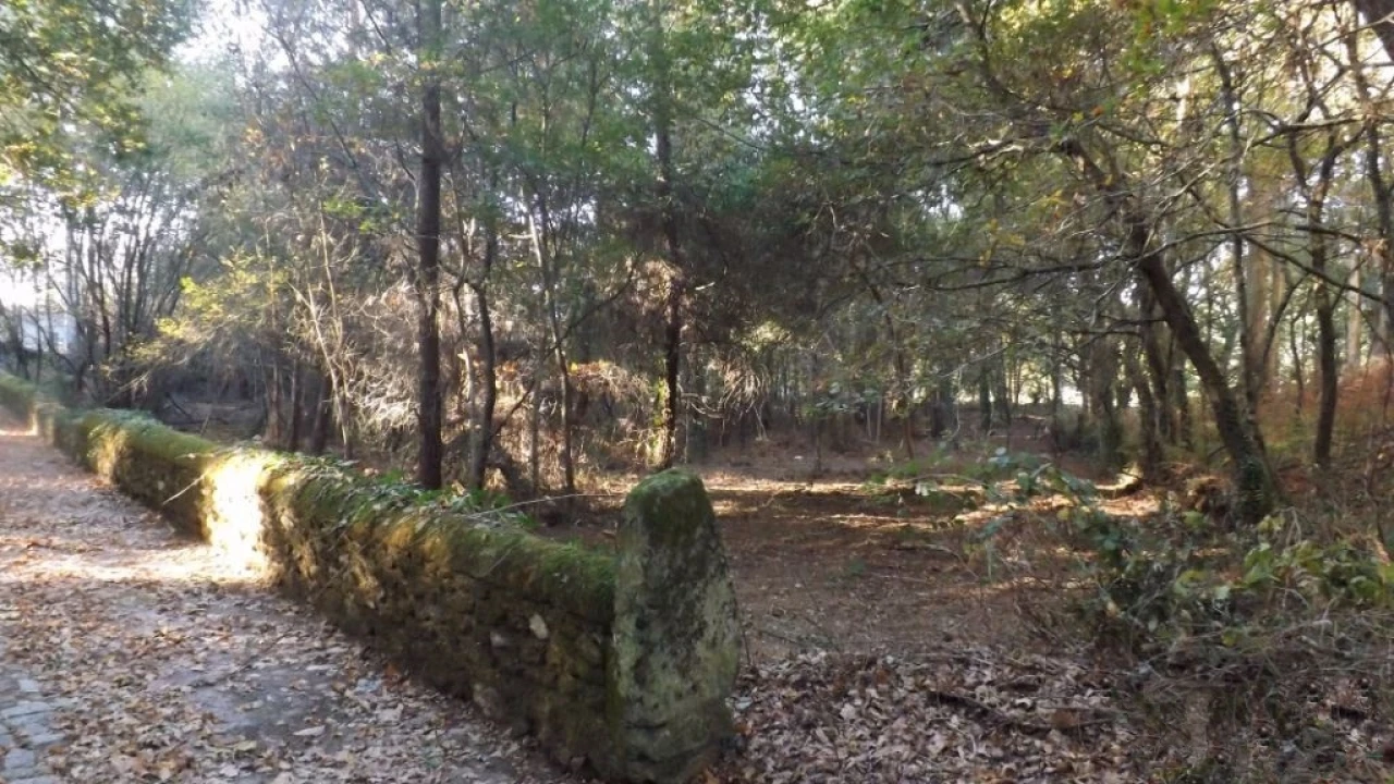 Terreno para Venda em Seixas Foto 7