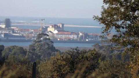 Terreno para Venda em Seixas