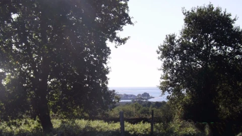 Terreno para Venda em Seixas