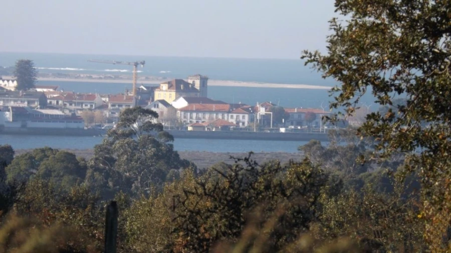 Terreno para Venda em Seixas Foto 4