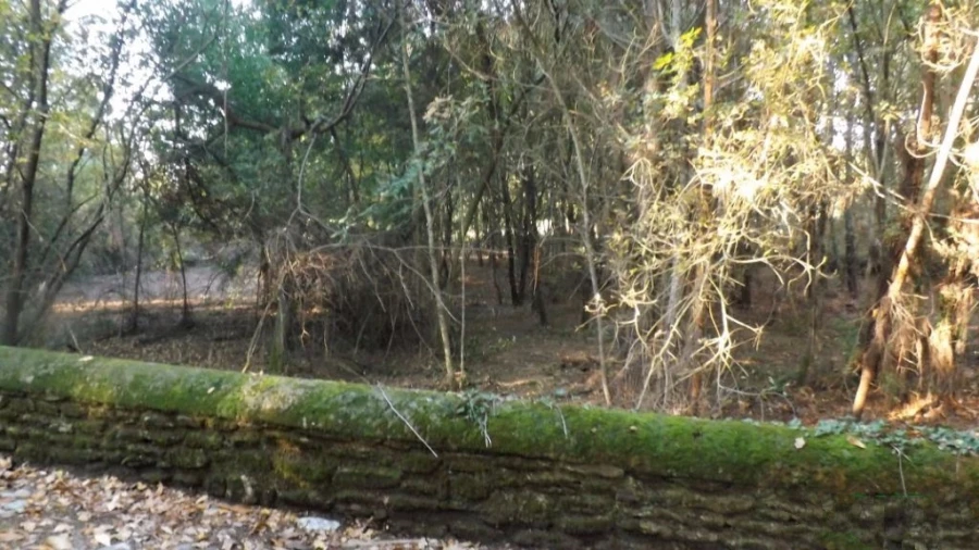 Terreno para Venda em Seixas Foto 8