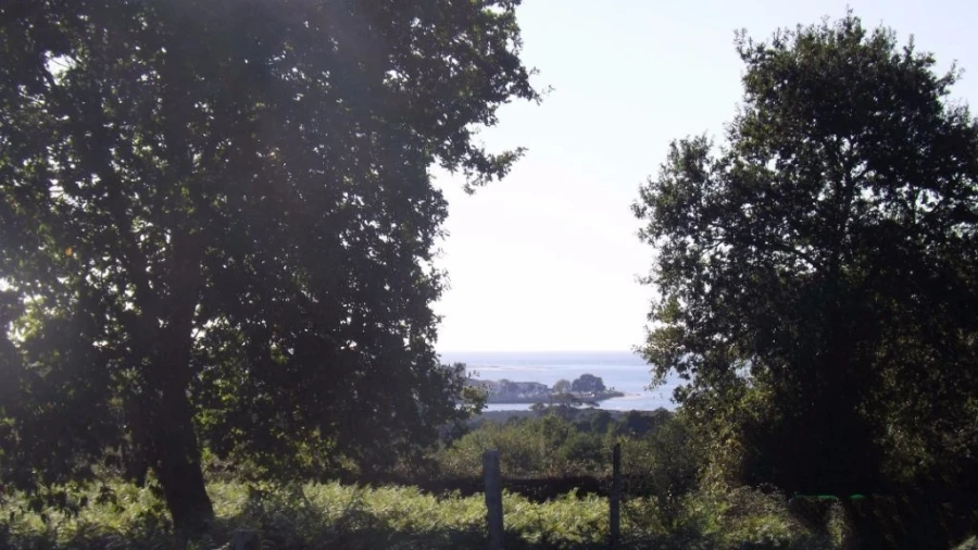 Terreno para Venda em Seixas Foto 3