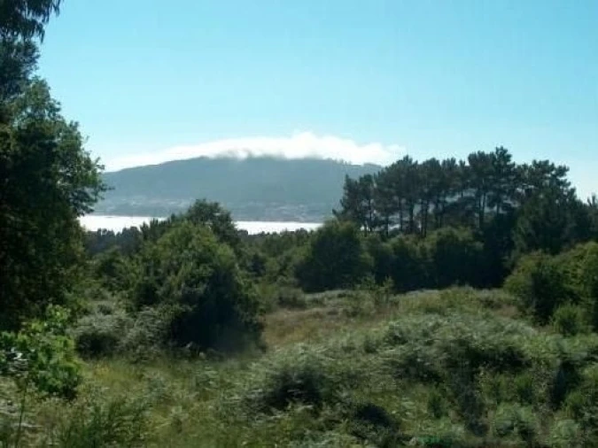 Terreno para Venda em Seixas Foto 12