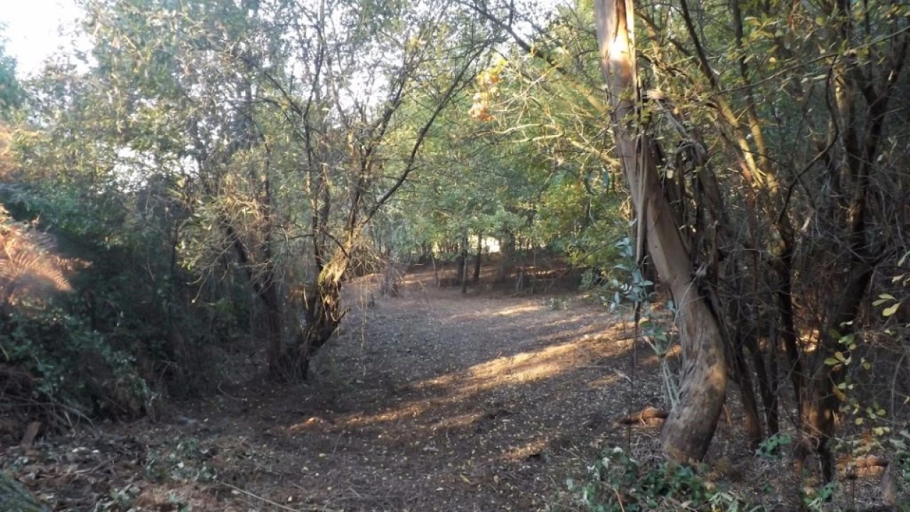 Terreno para Venda em Seixas Foto 9