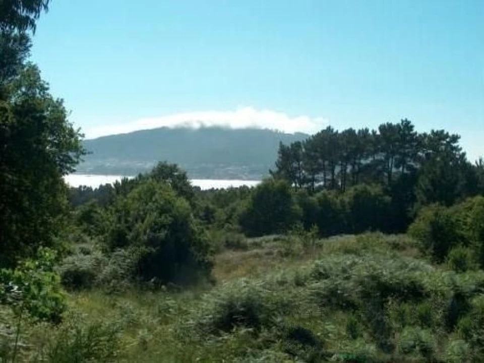Terreno para Venda em Seixas Foto 12
