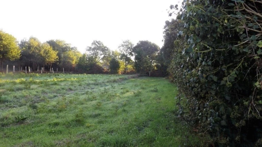 Terreno para Venda em Vila Praia de Ancora Foto 8