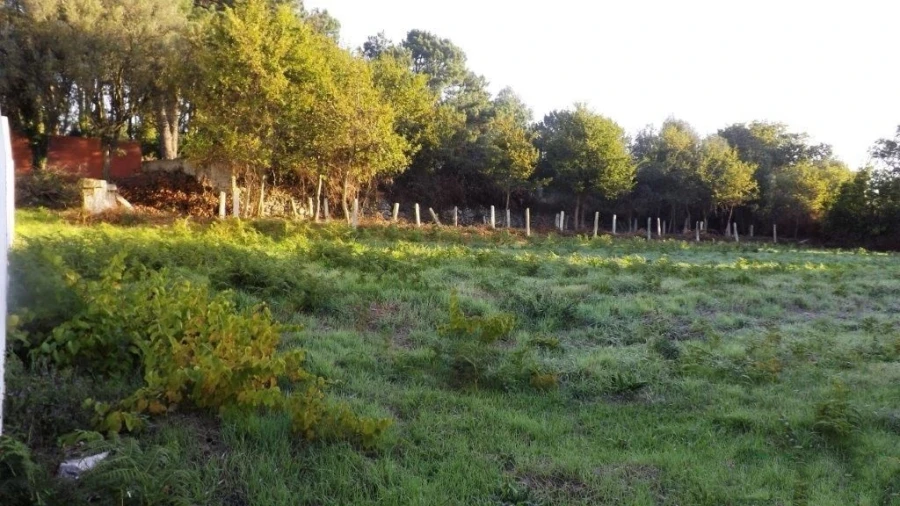 Terreno para Venda em Vila Praia de Ancora Foto 6